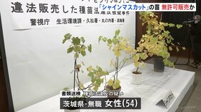 「シャインマスカット」の苗を無許可販売か　54歳女性を書類送検「売ればお金になりコンビニでお菓子を買った」 警視庁　海外に流出していないかなど調べる方針|TBS NEWS DIG