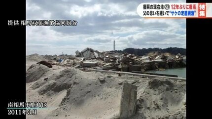 値下げ中 東北大震災　相馬焼き カテゴリーで探す,KACHI-UMA |福島県の伝統工芸品 大堀相馬焼WEB本店