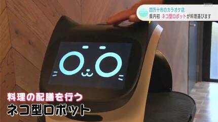 新たな形態のカラオケ店が四万十市に “ネコ型配膳ロボット”が料理を  