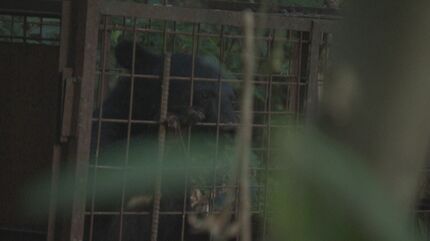 img_e2576ca422274768ce49a8062d