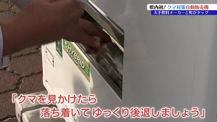 値下♪①※くまは売り切れました くまモンとぷっちょがタッグを組んで熊本を盛り上げる！／ UHA味覚糖