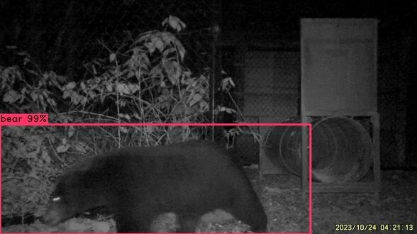 クマをAIで自動検出！北陸電力が初社内ベンチャー「北電VISION」7月に設立へ　画像認識で害獣対応の迅速化目指す　富山　|　富山のニュース｜天気・防災｜チューリップテレビ