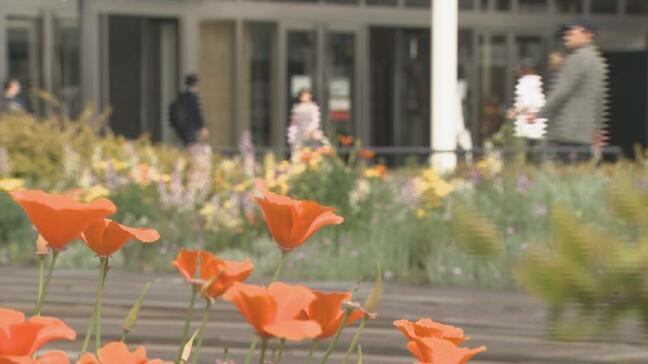 2日続けて季節外れの暑さに 富山28.5℃で今年最高気温に 18日夜は雨も、翌19日は天気は回復の予想|TBS NEWS DIG