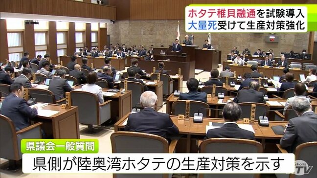 ホタテ大量死を受けて生産対策を強化　7月下旬から陸奥湾全体で『稚貝』を融通する体制が試験的に導入へ　漁師全員が十分な量を確保できるよう目指す　青森県|TBS NEWS DIG