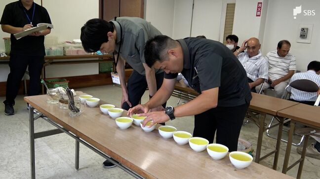 「味は負けていない」静岡市・玉川茶 一番茶品評会 全国2位陥落は冷静な受け止め=静岡市・葵区|TBS NEWS DIG