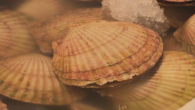 中国が日本産水産物を事実上輸入停止「ビクビクしながら…」北海道の水産業者からは落胆の声　約2年ぶりに中国への出荷が再開されたばかり|TBS NEWS DIG