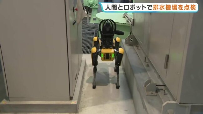 全国初だワン！　犬型ロボットが排水設備を点検　熊本|TBS NEWS DIG