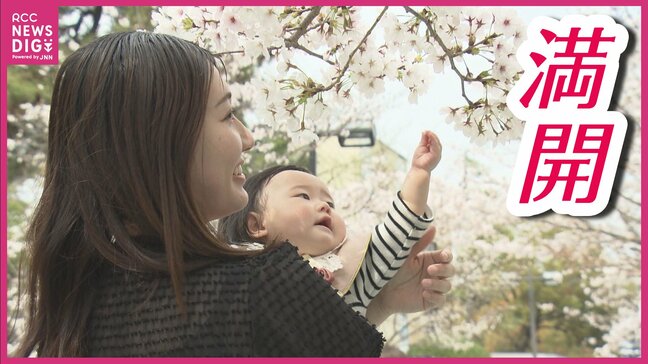 サクラ満開で絶好の花見日和　「大人が我慢することも」　2000品目以上の食料品が値上げへ　お弁当を囲む花見客の本音|TBS NEWS DIG