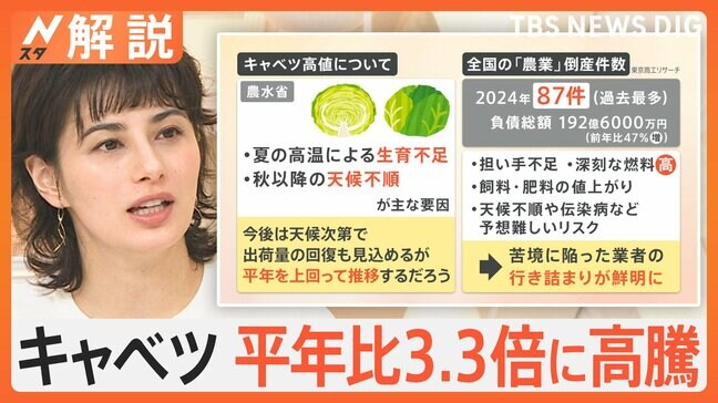 キャベツ高騰1玉430円も… 葉物野菜の高値止まらず、いかに食品を無駄なく使うか 注目は「ストパ」【Nスタ解説】|TBS NEWS DIG