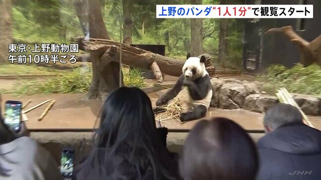 上野動物園のパンダ「シャオシャオ」「レイレイ」に行列 お別れを前に1分制限付きの観覧始まる 今後は事前予約や抽選制に|TBS NEWS DIG