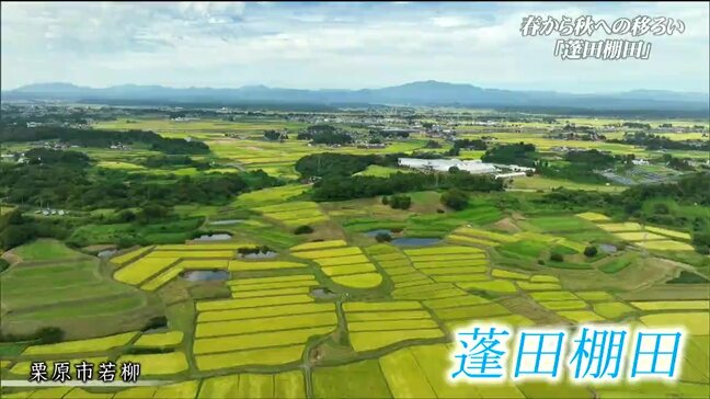 「仲間と寄り添って守っていきたい」田植えから実りの秋まで『棚田』原風景の季節の移ろいを追った 宮城・栗原市|TBS NEWS DIG