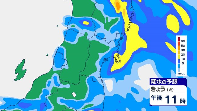 28日夜の宮城県内は非常に激しい雷雨のおそれ 29日明け方にかけて大雨による土砂災害に厳重警戒 低地の浸水や河川の増水・氾濫にも警戒を【雨雲シミュレーション28日午後~29日朝】|TBS NEWS DIG