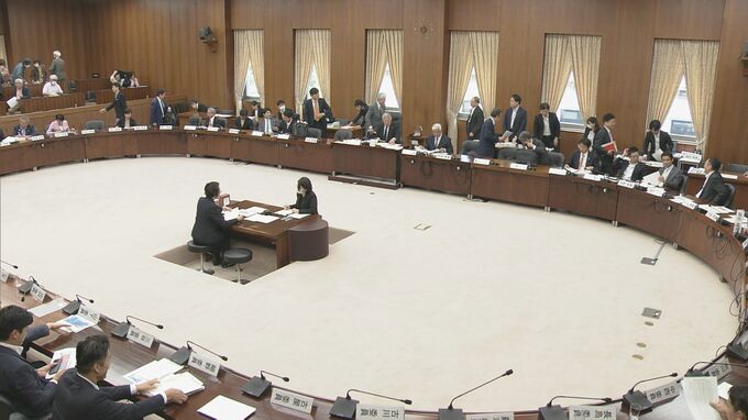 衆議院憲法審査会　緊急事態での国会機能維持めぐり各党が意見表明