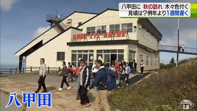 八甲田の木々　色付きはじめ「だめかと思っていたけどかなり進んでいて良かった」山頂付近は10月中旬が見ごろの見込み|TBS NEWS DIG