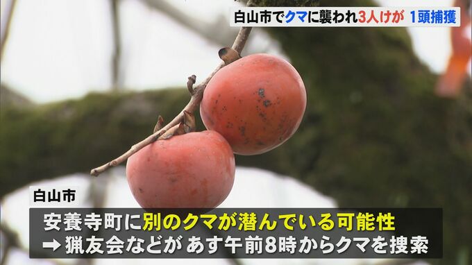 “住宅地でクマに襲われ3人が重軽傷” 1頭捕獲もさらに別の個体が潜んでいる可能性 猟友会らによるクマ捜索続く 石川・白山市　|　石川県のニュース｜MRO北陸放送
