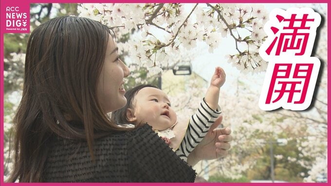 サクラ満開で絶好の花見日和　「大人が我慢することも」　2000品目以上の食料品が値上げへ　お弁当を囲む花見客の本音|TBS NEWS DIG