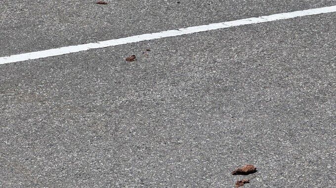 酒田市の市街地でクマ目撃相次ぐ　現場には痕跡が…市や警察が住民に注意・警戒を呼びかけ（山形）　|　山形のニュース│TUYテレビユー山形