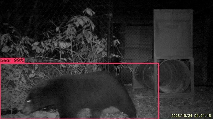 クマをAIで自動検出！北陸電力が初社内ベンチャー「北電VISION」7月に設立へ　画像認識で害獣対応の迅速化目指す　富山　|　富山のニュース｜天気・防災｜チューリップテレビ