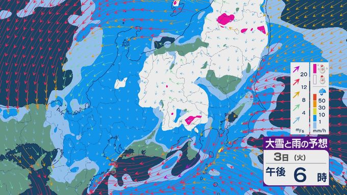 【関東・甲信では雪のところも】“ひな祭り”の3日(火)は「南岸低気圧」の通過で九州から関東まで雨のところが多い天気に 太平洋側では雨の強まりに注意 雪・雨と風シミュレーション|TBS NEWS DIG