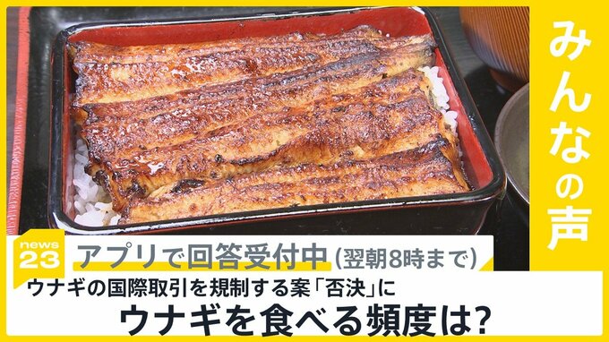 ニホンウナギ含む取引規制案を｢否決｣ ワシントン条約の締約国会議 あなたはどのくらいの頻度で食べる？【news23】|TBS NEWS DIG