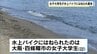 友人が運転する水上バイクにはねられ一時心肺停止に　女子大生は心拍再開も重体　兵庫・赤穂市の恋ヶ浜　|　MBSニュース | 関西の最新ニュースを分かりやすく。