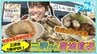 「カキの可能性って無限大」カキ居酒屋が誕生『なめろう』に『ピザ』珍しいメニューも！"海のミルク"に魅了される【わっち!!シン・アオモリ】青森・三沢市　|　青森のニュース│ATV NEWS│青森テレビ