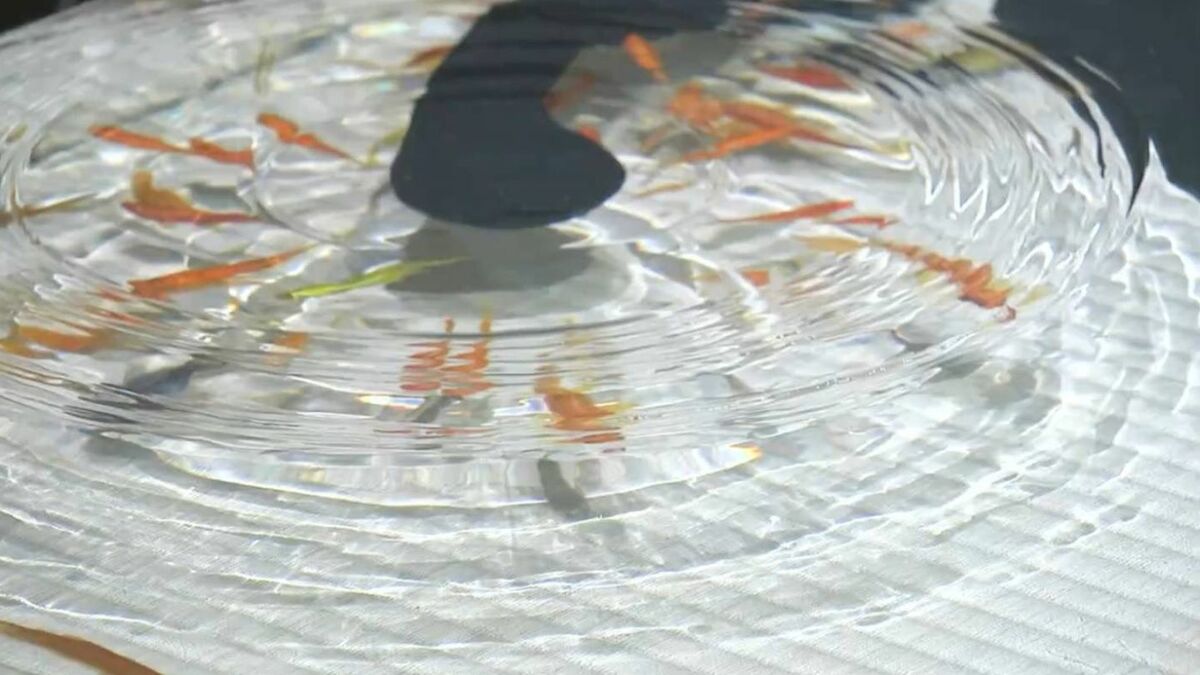 まるで本物の金魚が泳いでいるよう」金魚絵師・深堀隆介さんの特別展