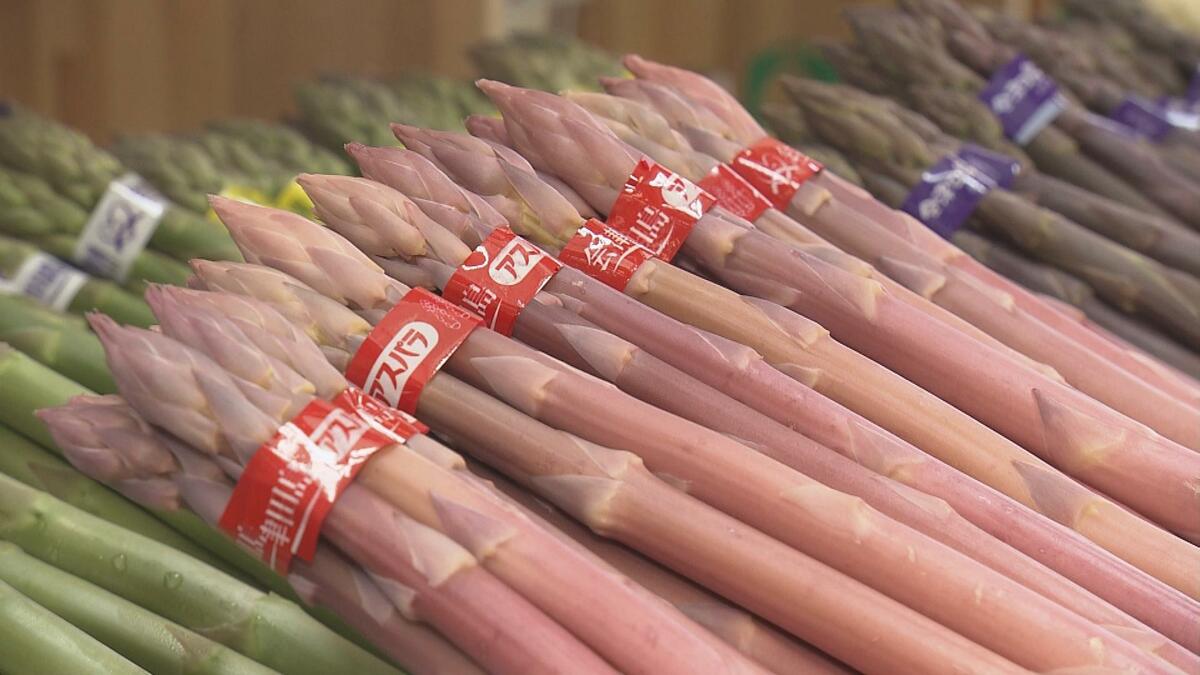 会津で発見！幻の「桜アスパラ」ピンク色のヒミツは“遮光”にあり【市場