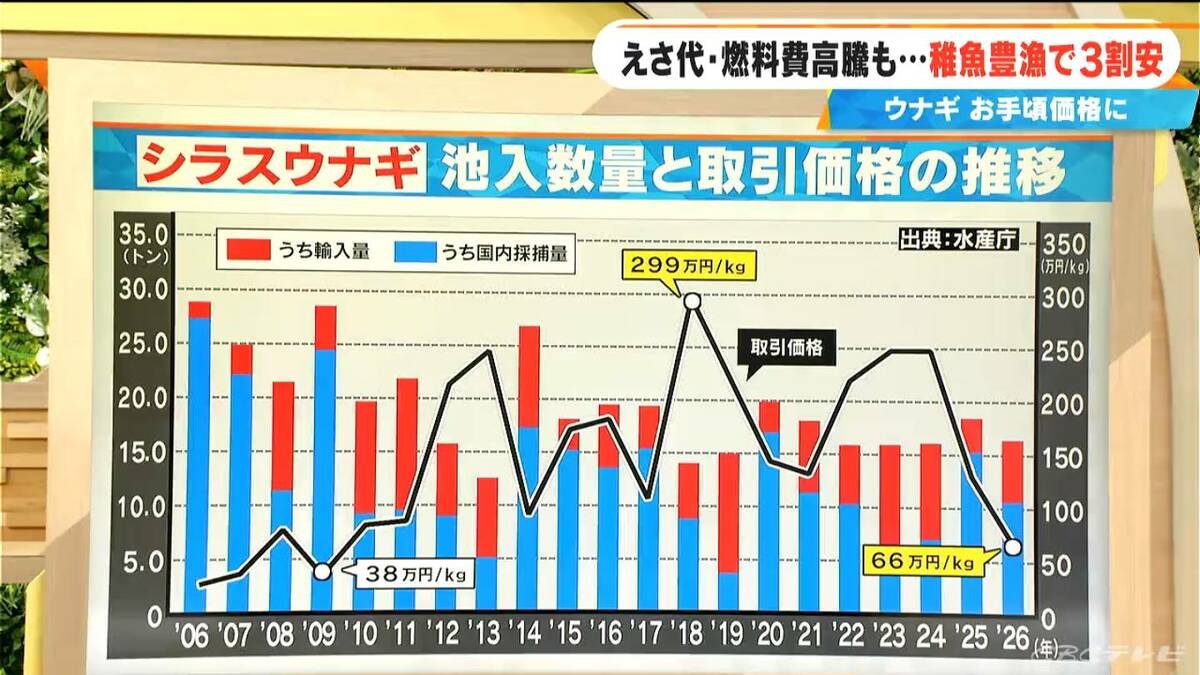 ことしはウナギが“お手頃価格” シラスウナギ豊漁が背景に 話題の“完全養殖ウナギ” 生産コストはどうなっている？