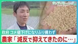 小泉大臣の備蓄米“じゃぶじゃぶ”放出策 消費者は歓迎も卸売ではすでに余波　農家からも嘆きの声【サンデーモーニング】|TBS NEWS DIG