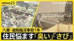 【八潮市の道路陥没事故から1年】避難所で出会った妊婦は母に…募る娘への不安 長引く工事で苦しむ周辺住民に絆「八潮が好き」【news23】|TBS NEWS DIG