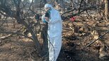 水原希子さん 家が全焼「言葉を失う、とはまさにこの事かな」LA山火事で被害|TBS NEWS DIG