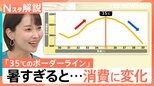 今年の夏は「2247円」負担増? 猛暑を経験し消費行動が「備え」に変化【Nスタ解説】|TBS NEWS DIG