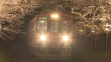 夜の帳が下りるなか桜を照らすは鉄道の前照灯　奥津軽のサクラの名所『芦野公園』　幻想的なサクラのトンネルがライトアップ　|　青森のニュース│ATV NEWS│青森テレビ