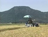 コメ王国の未来… 日本一は どこへ向かう?【あの日あの時】|TBS NEWS DIG