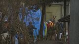 箱わなで捕獲されたクマ1頭は電気による殺処分 クマは体長1メートル30センチ、体重82キロのメス 秋田・横手市|TBS NEWS DIG