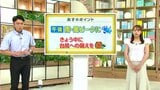 高知の天気 2日 台風6号の影響で各地で大荒れ 山岸拓気象予報士が解説|TBS NEWS DIG