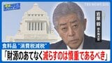 【国旗損壊罪 採決を棄権】「立法事実がない」、【食料品 “消費税減税”】「財源のあてもなく減らすのは慎重であるべき」【自民党・岩屋毅前外務大臣】【国会トークフロントライン】|TBS NEWS DIG