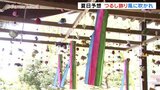 吊るし飾りが風に吹かれ 富山・南砺市の高瀬神社 端午の節句に合わせ 日中は各地で夏日の予想 | 富山のニュース|天気・防災|チューリップテレビ