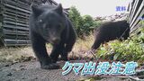【クマ出没情報】クマ1頭目撃ほか各地で柿の木の枝折れや足跡など痕跡多数 富山|TBS NEWS DIG