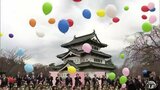 弘前公園内の「ソメイヨシノ」ついに開花宣言！　「弘前さくらまつり」の開催記念セレモニーも開催！　青森県弘前市|TBS NEWS DIG
