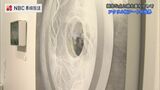 緻密な点と線を重ね合わせたアクリル板アート 徳永博子さん個展 | 長崎のニュース | 天気 | NBC長崎放送