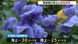 「二十四節気・大雪(たいせつ)」一日雨模様で海上は暴風に警戒 富山|TBS NEWS DIG