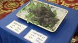 陸上養殖した高級カレイ・マツカワを初出荷へ 試食会「うまみあった」 青森県八戸市 | 青森のニュース│ATV NEWS│青森テレビ