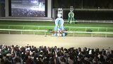 レモンポップ(JRA)が大差で圧勝! 岩手競馬伝統のレース・マイルチャンピオンシップ南部杯|TBS NEWS DIG