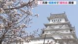 姫路城で『観桜会』　ソメイヨシノ約１０００本が真っ白な城に映える「５時半から場所取りに来た」|TBS NEWS DIG