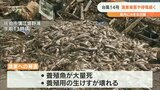 台風14号 漁業にも被害 佐伯市では養殖魚が大量死 甚大な被害 停電が長引く地区も | 大分のニュース|OBS NEWS|大分放送