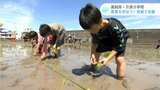 「おいしくてホカホカのお米食べたい」農業について学ぼう！児童たちが田植え体験|TBS NEWS DIG