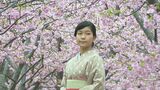 花の名所を着物姿で楽しんで「はぎ着物ジャック」始まる　|　山口のニュース・天気・防災｜tys NEWS｜ｔｙｓテレビ山口