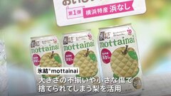 廃棄予定の梨を使った缶チューハイを発表　フードロス削減目指して| TBS CROSS DIG with Bloomberg